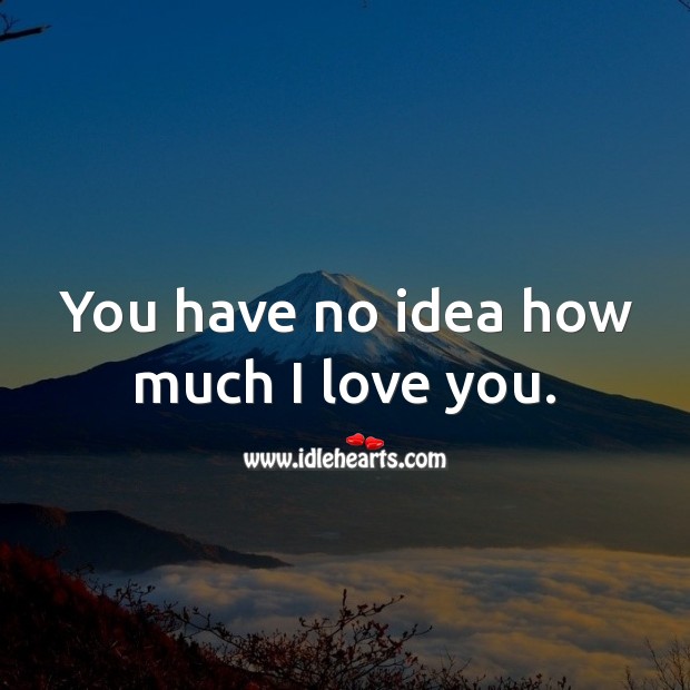 You have no idea how much I love you. I Love You Quotes Image