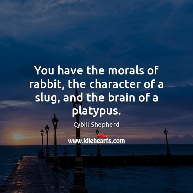 You have the morals of rabbit, the character of a slug, and the brain of a platypus. Cybill Shepherd Picture Quote