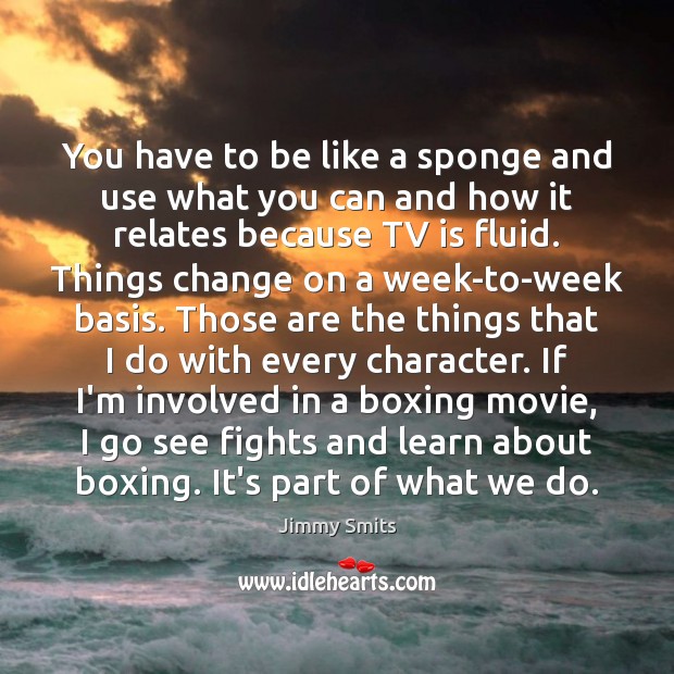 You have to be like a sponge and use what you can Jimmy Smits Picture Quote