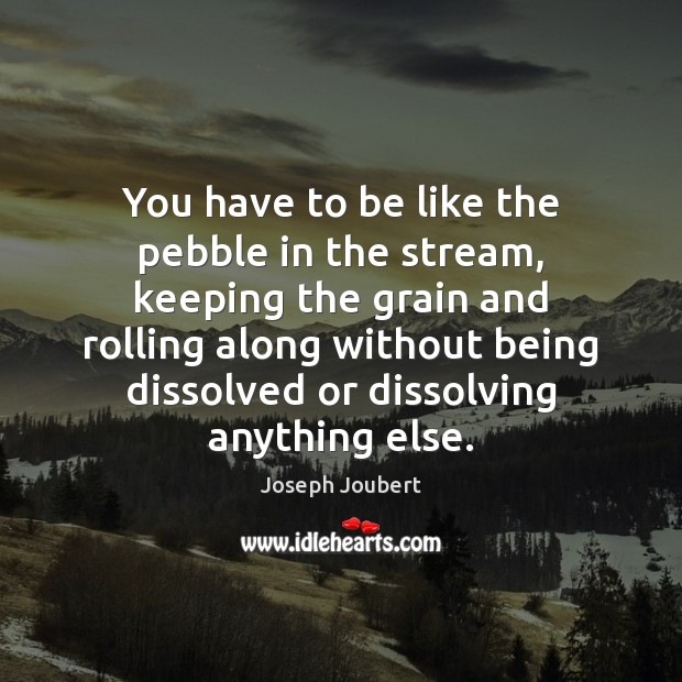 You have to be like the pebble in the stream, keeping the Image