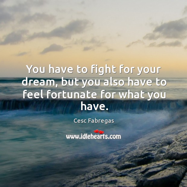 You have to fight for your dream, but you also have to feel fortunate for what you have. Cesc Fabregas Picture Quote