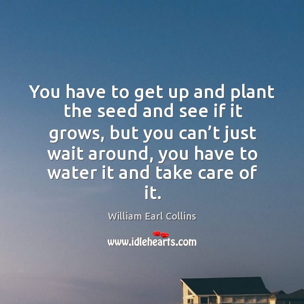 You have to get up and plant the seed and see if it grows, but you can’t just wait around William Earl Collins Picture Quote