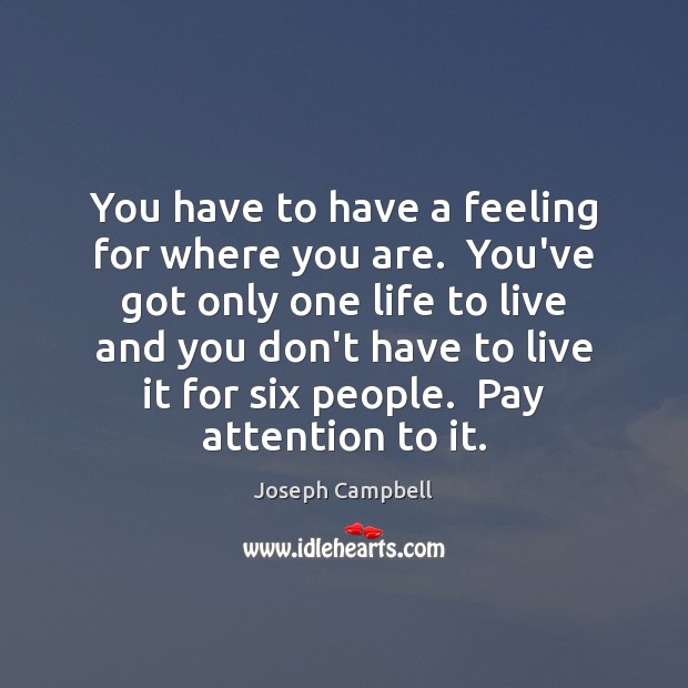 You have to have a feeling for where you are.  You’ve got Joseph Campbell Picture Quote