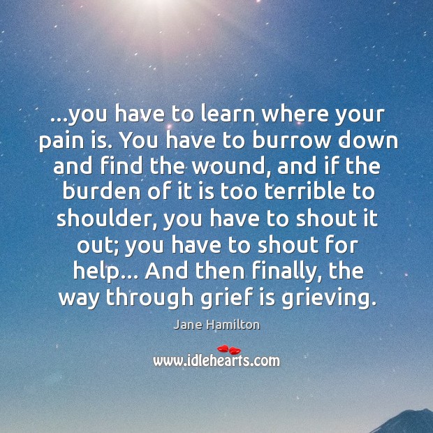 …you have to learn where your pain is. You have to burrow Jane Hamilton Picture Quote