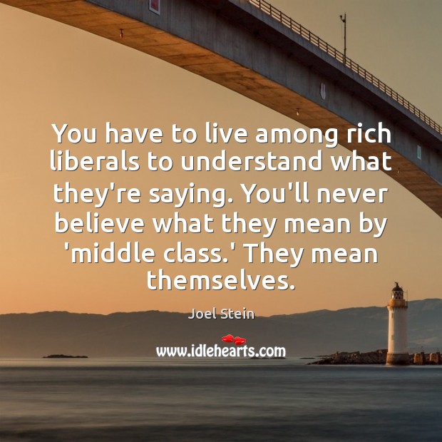 You have to live among rich liberals to understand what they’re saying. Joel Stein Picture Quote
