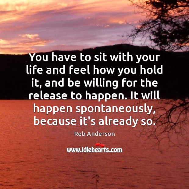 You have to sit with your life and feel how you hold Reb Anderson Picture Quote