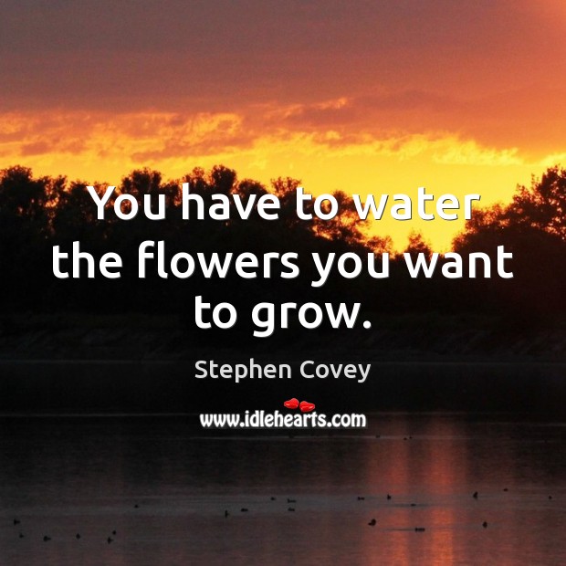 You have to water the flowers you want to grow. Stephen Covey Picture Quote