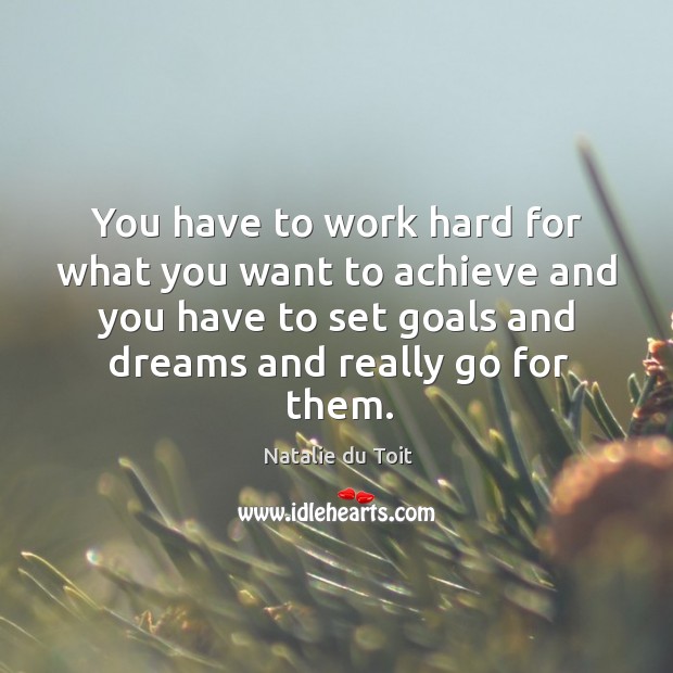 You have to work hard for what you want to achieve and you have to set goals Natalie du Toit Picture Quote