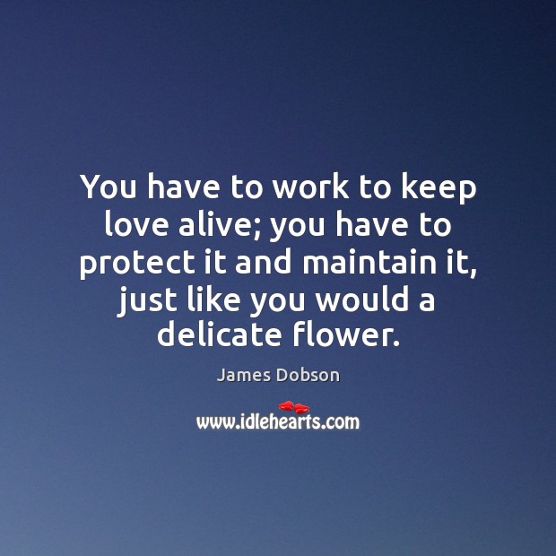 You have to work to keep love alive; you have to protect James Dobson Picture Quote