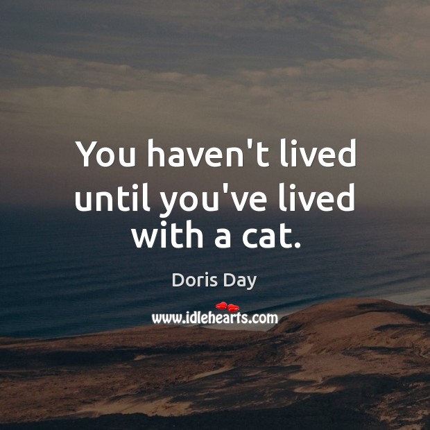 You haven’t lived until you’ve lived with a cat. Doris Day Picture Quote