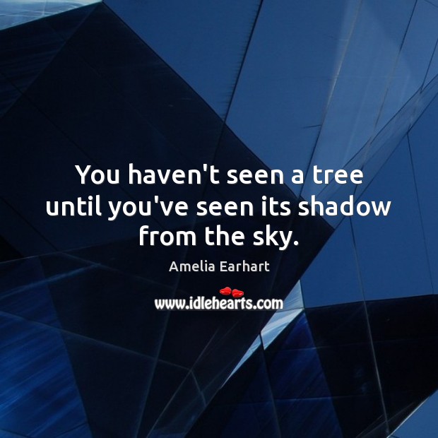 You haven’t seen a tree until you’ve seen its shadow from the sky. Amelia Earhart Picture Quote