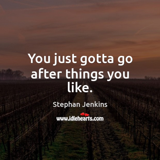 You just gotta go after things you like. Stephan Jenkins Picture Quote