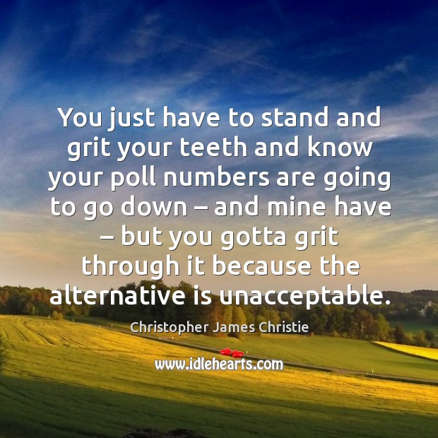 You just have to stand and grit your teeth and know your poll numbers are going to go down Christopher James Christie Picture Quote