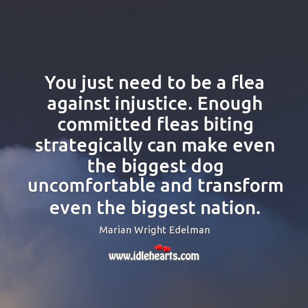You just need to be a flea against injustice. Enough committed fleas biting strategically Image