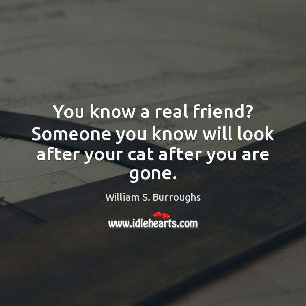 You know a real friend? Someone you know will look after your cat after you are gone. Real Friends Quotes Image