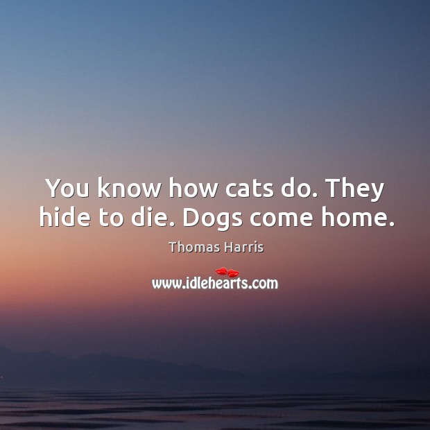 You know how cats do. They hide to die. Dogs come home. Thomas Harris Picture Quote