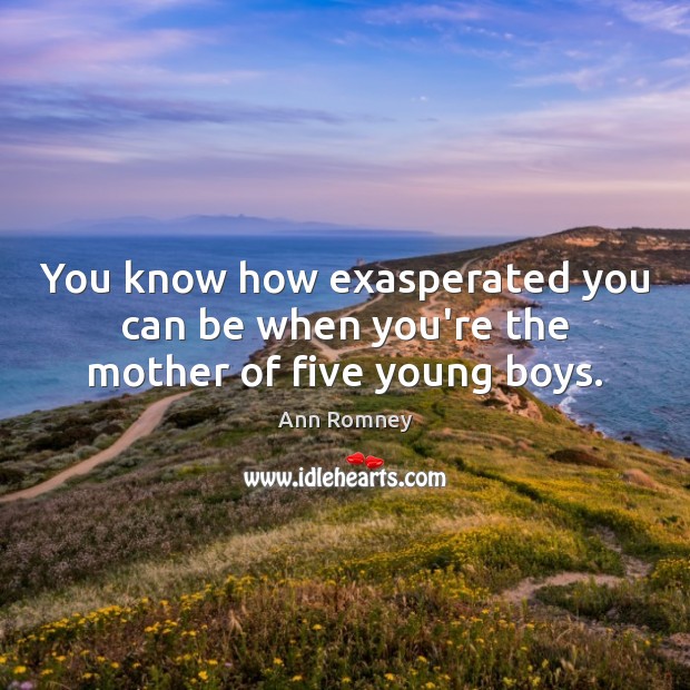 You know how exasperated you can be when you’re the mother of five young boys. Ann Romney Picture Quote