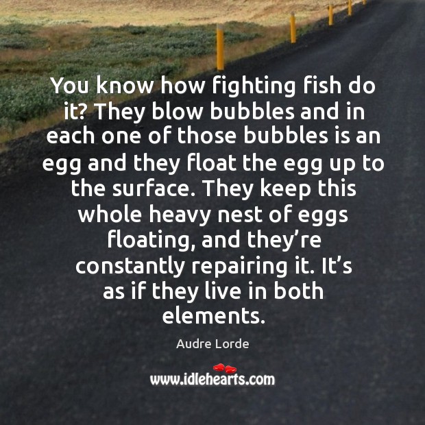 You know how fighting fish do it? they blow bubbles and in each one of those bubbles Audre Lorde Picture Quote