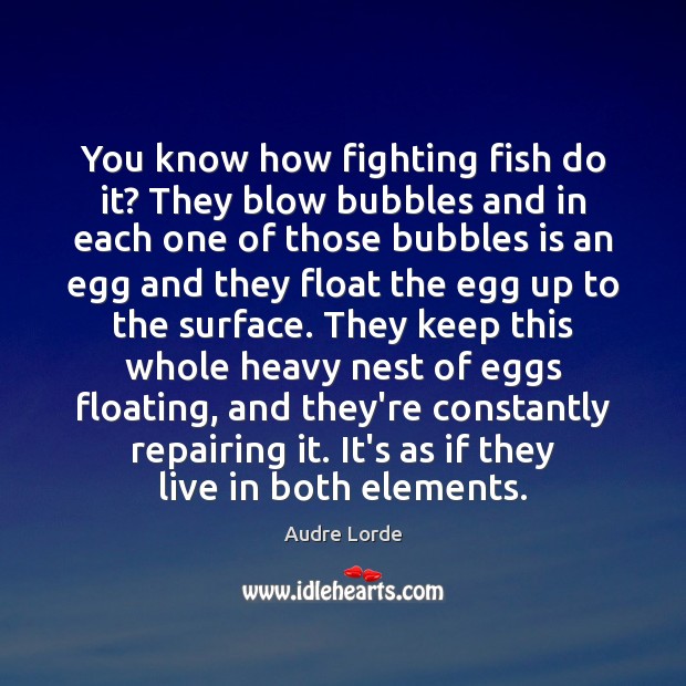 You know how fighting fish do it? They blow bubbles and in Audre Lorde Picture Quote