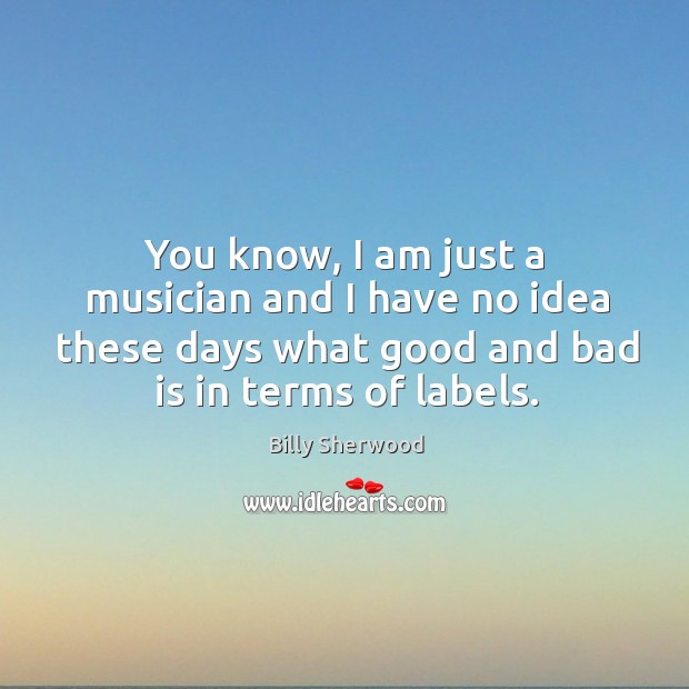 You know, I am just a musician and I have no idea these days what good and bad is in terms of labels. Billy Sherwood Picture Quote
