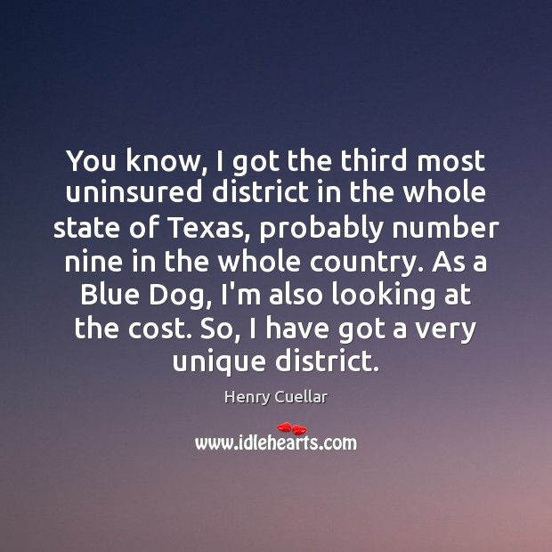 You know, I got the third most uninsured district in the whole Henry Cuellar Picture Quote