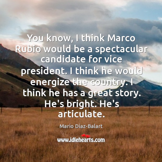 You know, I think Marco Rubio would be a spectacular candidate for Image