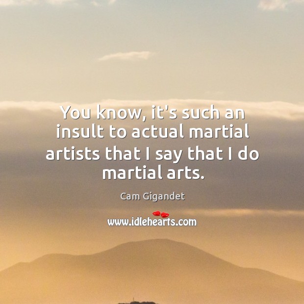 You know, it’s such an insult to actual martial artists that I say that I do martial arts. Cam Gigandet Picture Quote