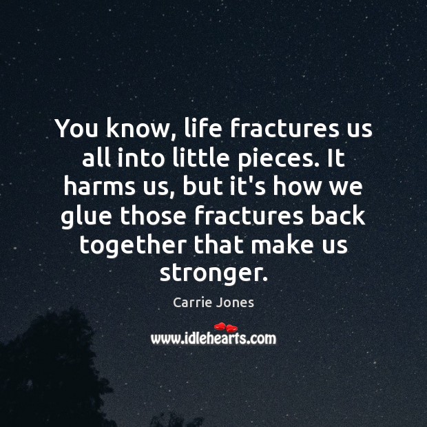You know, life fractures us all into little pieces. It harms us, Carrie Jones Picture Quote