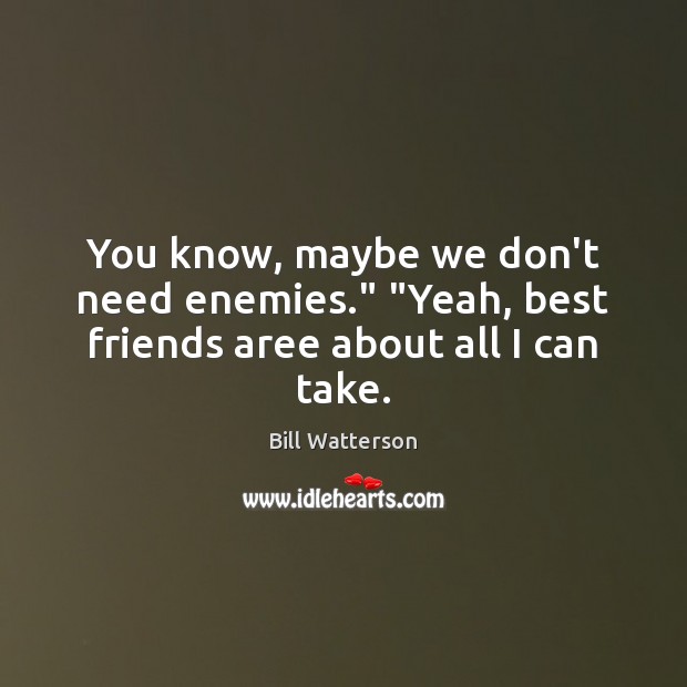 You know, maybe we don’t need enemies.” “Yeah, best friends aree about all I can take. Bill Watterson Picture Quote