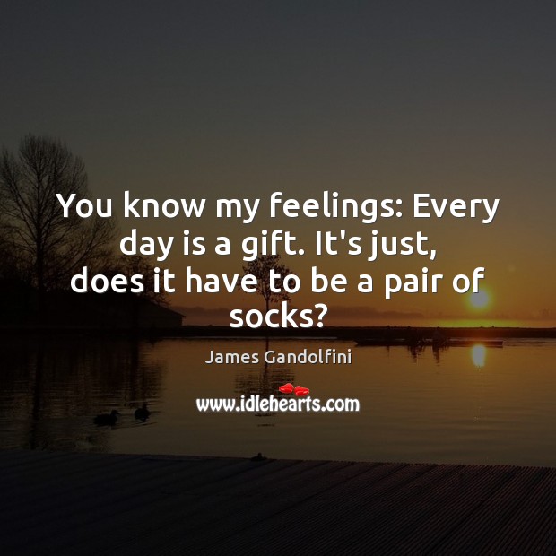 You know my feelings: Every day is a gift. It’s just, does it have to be a pair of socks? James Gandolfini Picture Quote