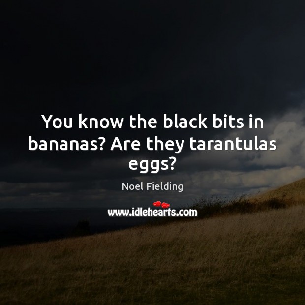 You know the black bits in bananas? Are they tarantulas eggs? Noel Fielding Picture Quote
