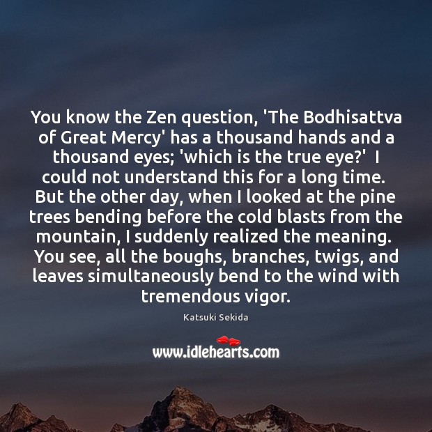 You know the Zen question, ‘The Bodhisattva of Great Mercy’ has a 