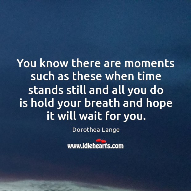 You know there are moments such as these when time stands still Dorothea Lange Picture Quote