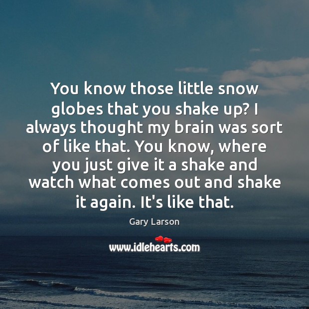 You know those little snow globes that you shake up? I always Gary Larson Picture Quote