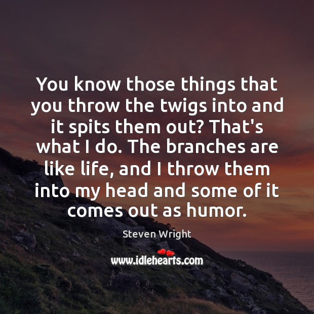 You know those things that you throw the twigs into and it Steven Wright Picture Quote