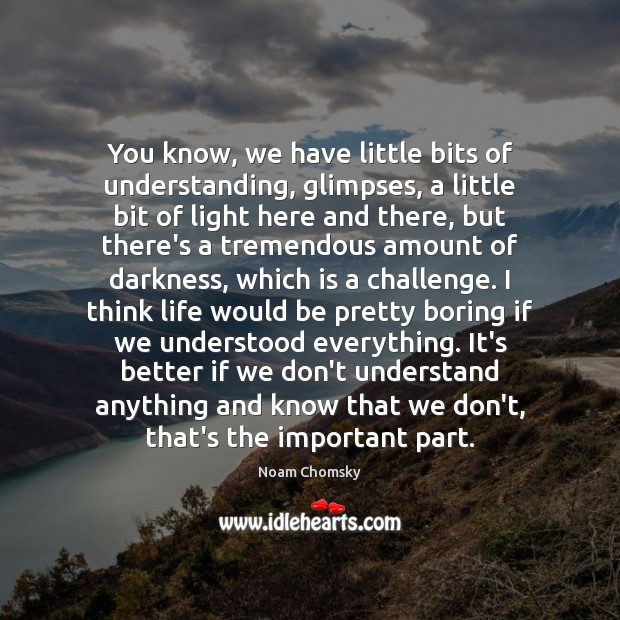 You know, we have little bits of understanding, glimpses, a little bit Noam Chomsky Picture Quote