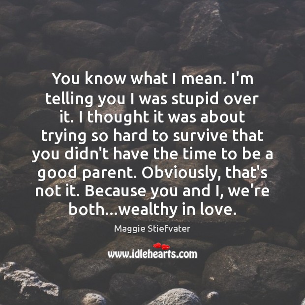 You know what I mean. I’m telling you I was stupid over Maggie Stiefvater Picture Quote