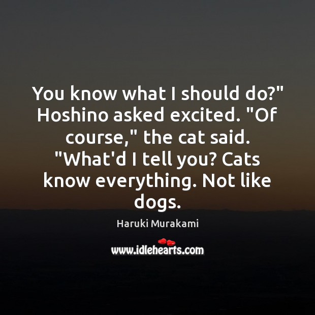 You know what I should do?” Hoshino asked excited. “Of course,” the Haruki Murakami Picture Quote