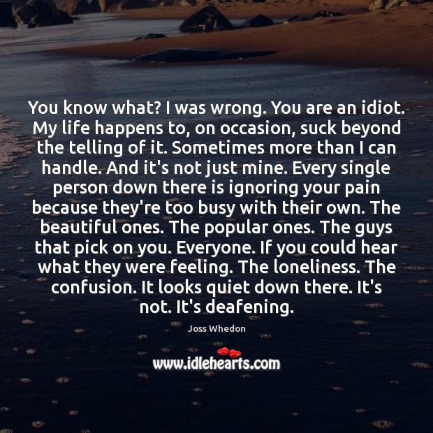 You know what? I was wrong. You are an idiot. My life Joss Whedon Picture Quote