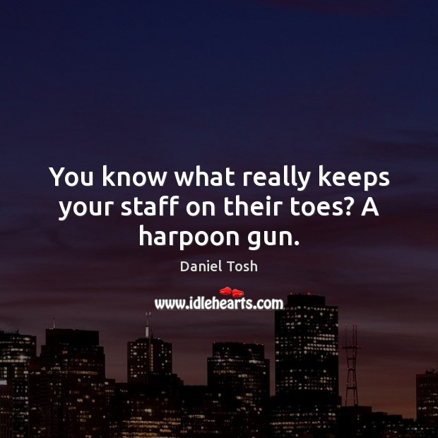 You know what really keeps your staff on their toes? A harpoon gun. Daniel Tosh Picture Quote