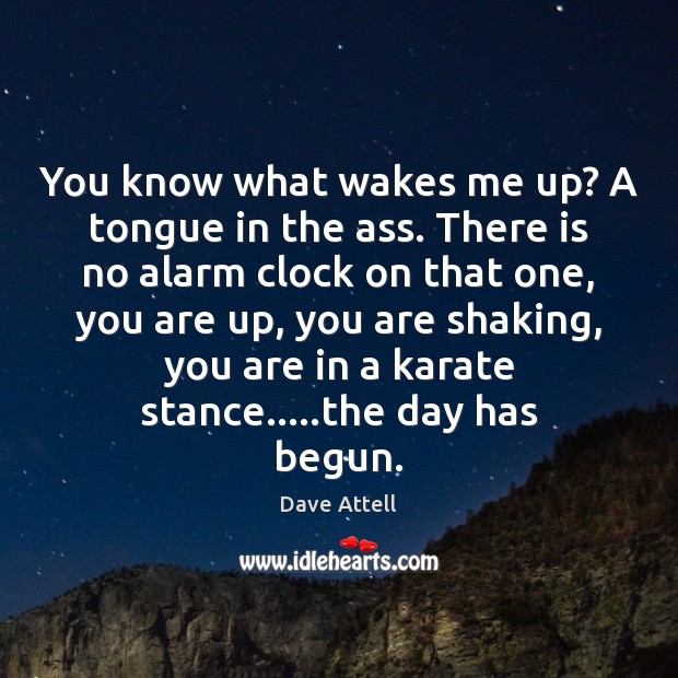 You know what wakes me up? A tongue in the ass. There Dave Attell Picture Quote