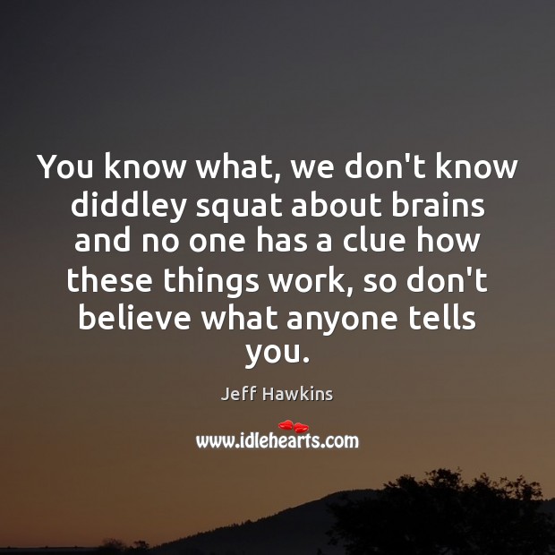 You know what, we don’t know diddley squat about brains and no Jeff Hawkins Picture Quote