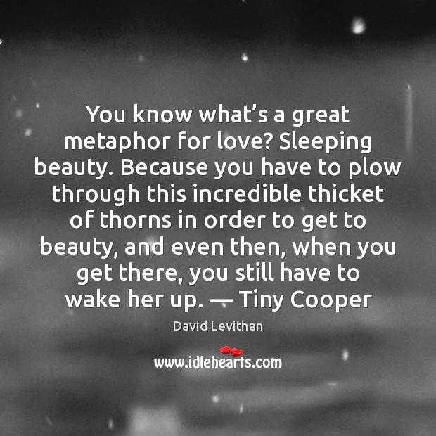 You know what’s a great metaphor for love? Sleeping beauty. Because David Levithan Picture Quote