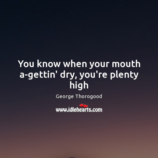 You know when your mouth a-gettin’ dry, you’re plenty high George Thorogood Picture Quote