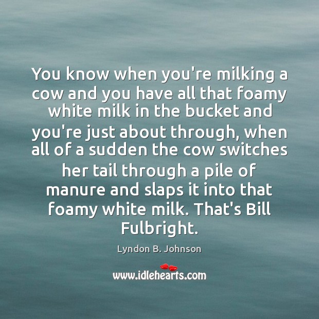 You know when you’re milking a cow and you have all that Lyndon B. Johnson Picture Quote