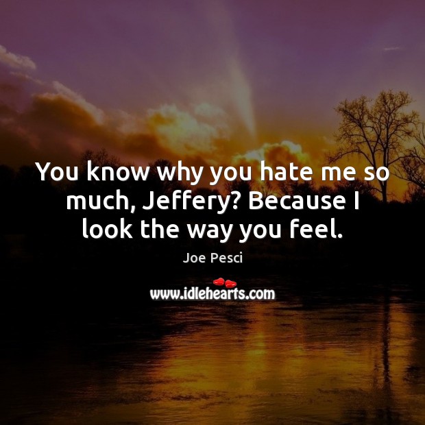 You know why you hate me so much, Jeffery? Because I look the way you feel. Joe Pesci Picture Quote