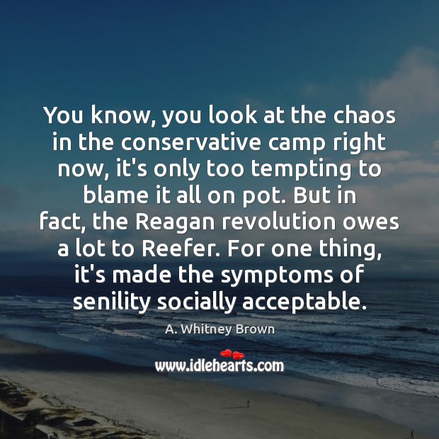 You know, you look at the chaos in the conservative camp right A. Whitney Brown Picture Quote