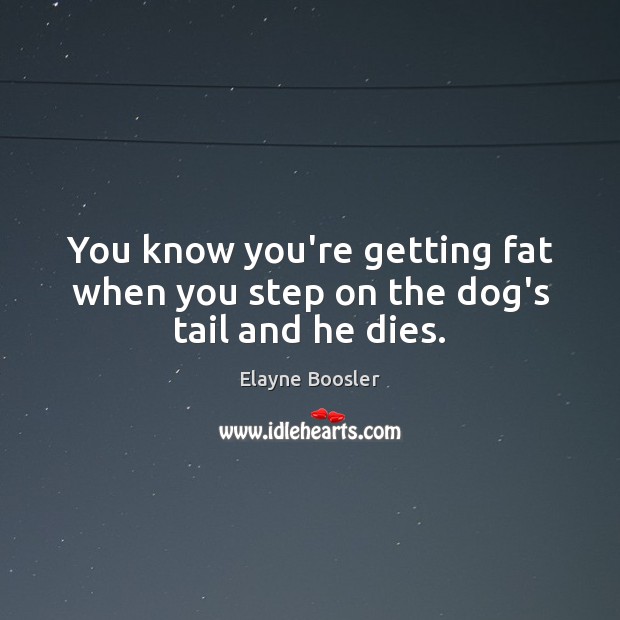 You know you’re getting fat when you step on the dog’s tail and he dies. Elayne Boosler Picture Quote