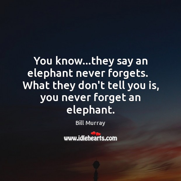 You know…they say an elephant never forgets.   What they don’t tell Bill Murray Picture Quote