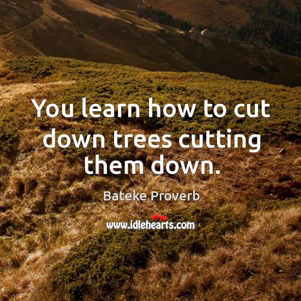 You learn how to cut down trees cutting them down. Bateke Proverbs Image